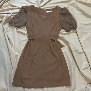 Taupe Sheer-Sleeve Cinched Waist Dress